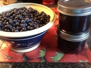 Traditional Newfoundland Blueberry Jam