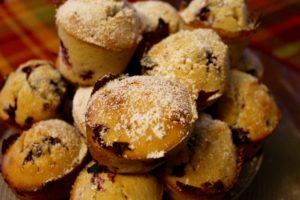 partridgeberry muffins