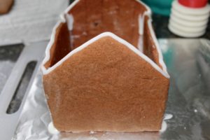GINGERBREAD COOKIES and HOUSE
