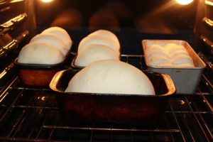 Newfoundland White Bread