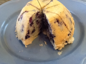 Blueberry Pudding 