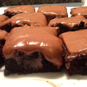 Traditional Newfoundland Brownies & Cream Cheese Icing