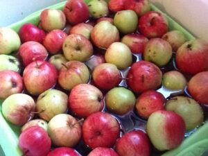 Traditional Newfoundland Crabapple's