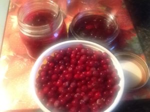Traditional Newfoundland Partridgeberry Jam
