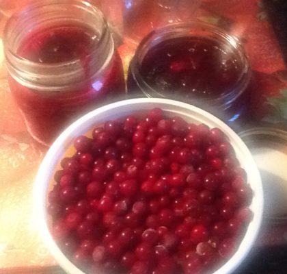 Partridgeberry Jam-Traditional Newfoundland