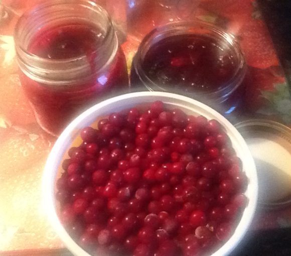 Partridgeberry Jam-Traditional Newfoundland