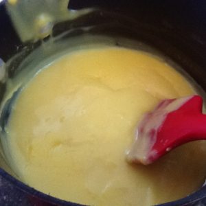 Vanilla Custard Pudding 