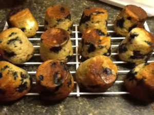 Blueberry Muffins