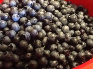 Blueberries