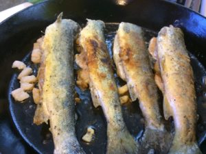Traditional Newfoundland Pan Fried Pond Trout