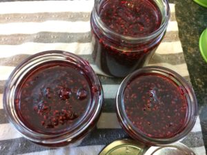 Raspberry Jam