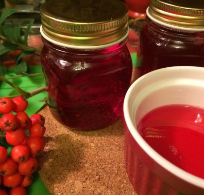 Dogberry Jelly