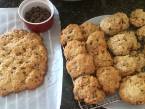 Chocolate chip cookies