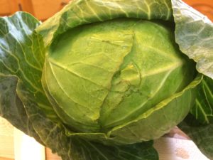 cabbage casserole