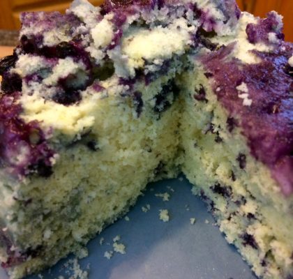 Microwave style blueberry duff