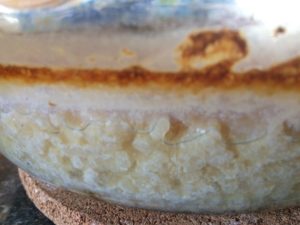 rice pudding