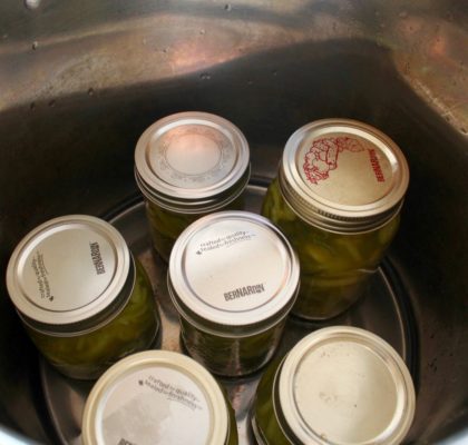 Sterilizing and Canning Procedures