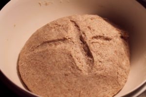 Homemade whole wheat bread