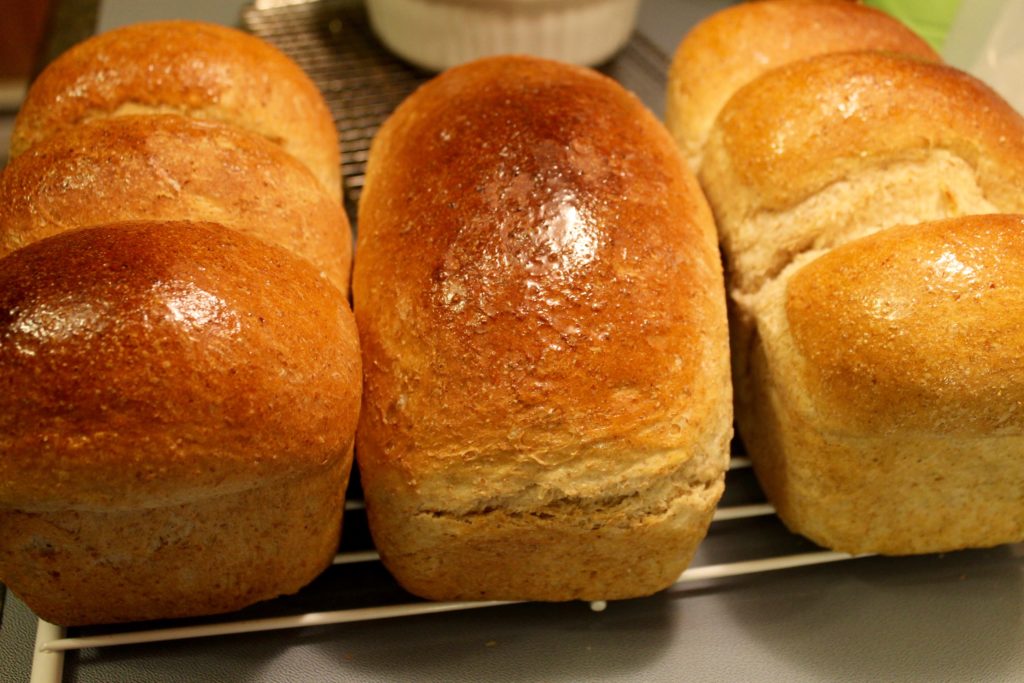 Traditional Newfoundland Homemade White Bread Bonita's Kitchen