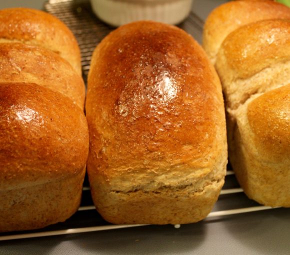 Homemade Whole Wheat Bread