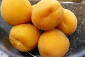 Fresh apricots