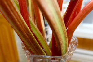 Rhubarb and Apricot Jam