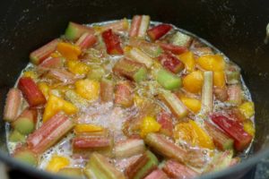 Rhubarb and Apricot Jam