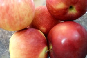 APPLE - CRANBERRY Deep Dish Pie