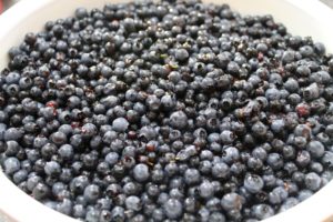 Traditional Newfoundland Blueberry Jelly