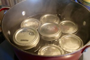 Traditional Newfoundland Blueberry Jelly