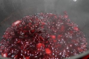 Partridgeberry Pickles