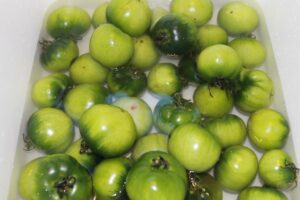 Green Tomato Chow Chow