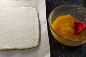 Apricot Squares