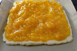 Apricot Squares