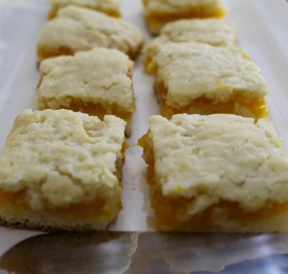 Apricot Squares