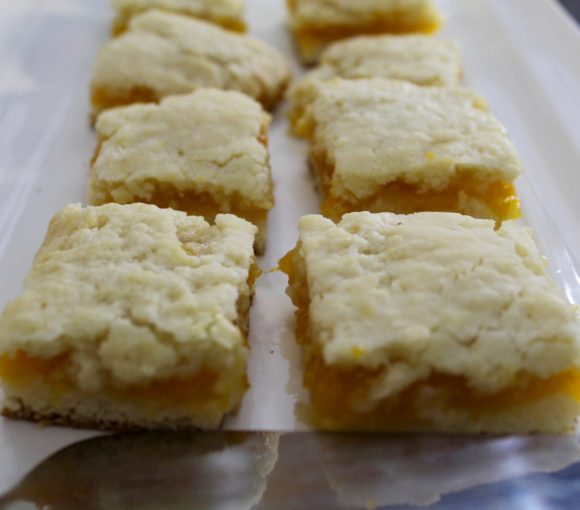 Apricot Squares