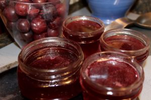 Wild Plum Jelly