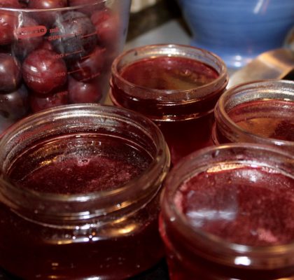 Wild Plum Jelly