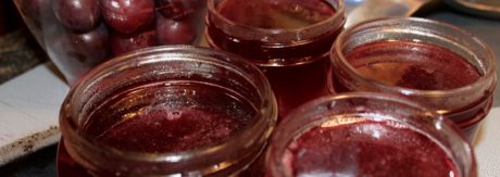 Wild Plum Jelly