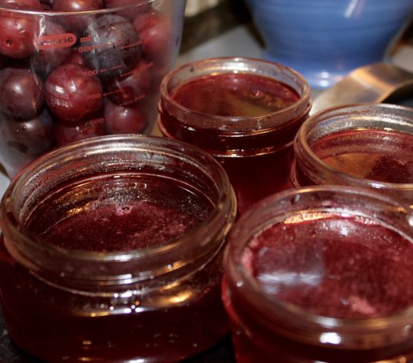 Wild Plum Jelly