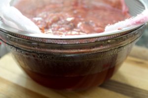 Wild Plum Jelly