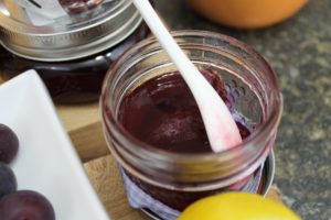 Wild Plum Jelly