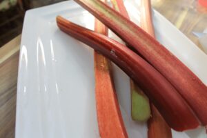 Rhubarb 