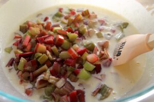 Rhubarb Custard Squares