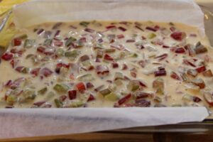 Rhubarb Custard Squares