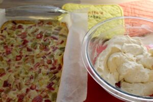 Rhubarb Custard Squares