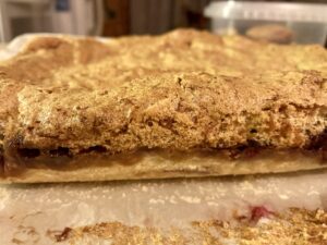 COCONUT PARTRIDGEBERRY SQUARES