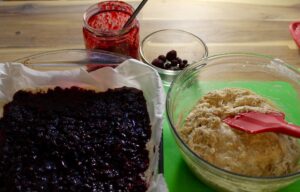 Coconut Partridgeberry Squares