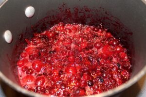 Partridgeberry Crumbles
