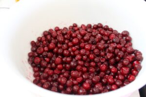 Partridgeberry Crumbles